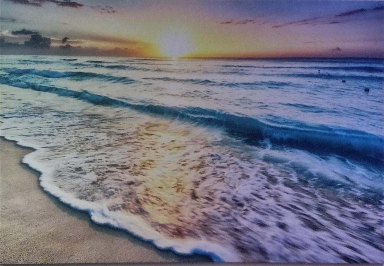 Southport-Dandar Daire Gold Coast Dış mekan fotoğraf